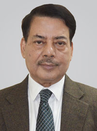Prof. Dr. M Mujibul Hoque